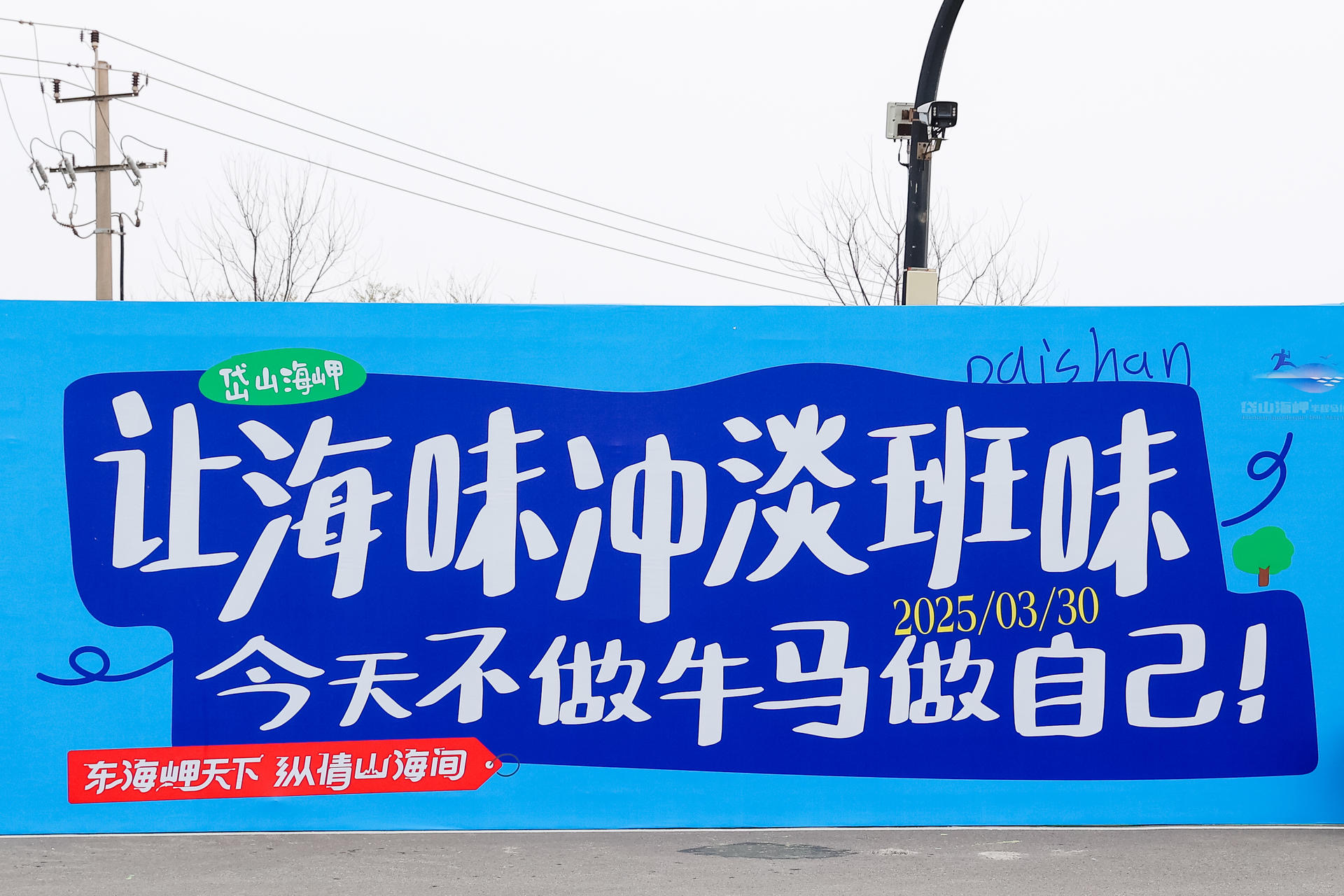 东海岬天下,纵情山海间:岱山半马,跑的是风景,也是人情